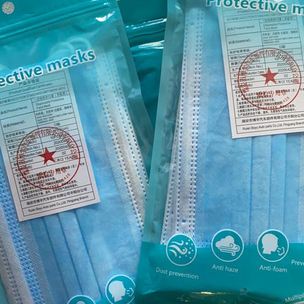 Disposable 3 Ply Face Mask (10pcs)